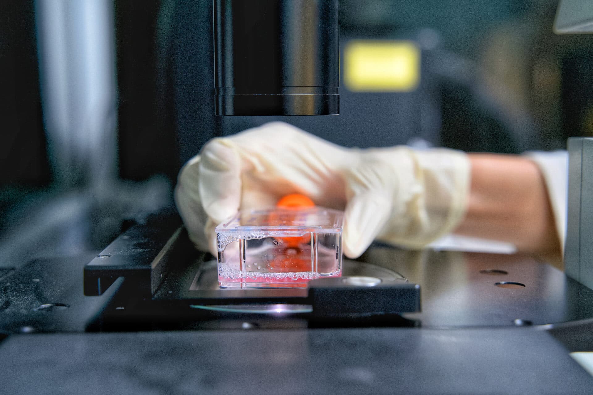 Reconstructed human tissue models in the lab