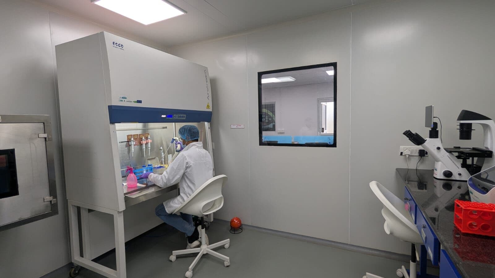 Cell culture suite with biosafety cabinets