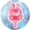 BioDNasal - Nasal Epithelium
